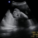 (주)미가원 이미지