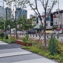 양운초교 이미지