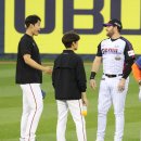 오스티니