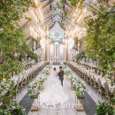 빌라드화이트 이미지