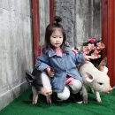 의료원앞 이미지