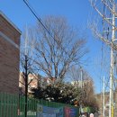 태현초등학교 이미지