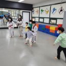 금모래 태권도장 이미지