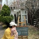 강서구-50 이미지