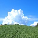 뭉개구름 이미지