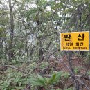 참벗 - 부여군 대백제로 504-84 | 참벗