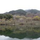 비 개인 후 이미지