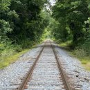 울타리행정사사무소 이미지