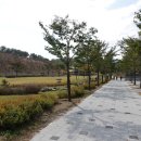 삼성현역사문화공원(레일썰매장) 네이버블로그