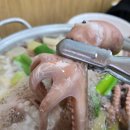사강식당 | 동네한바퀴 화성 사강시장 산낙지 연포탕 맛집 정보