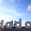 하도별방진 이미지