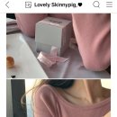 피그니트 이미지