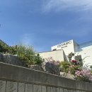 리가브로 이미지