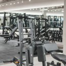 데일리핏 이미지