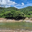 아모르 루시 이미지