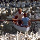 The Notebook 이미지