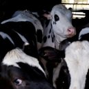 지오메디 이미지