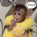 모산골방죽 | Sustainable, 6월 마지막주