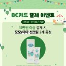 다다모모 이미지