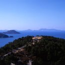 산양일주도로가로수 이미지