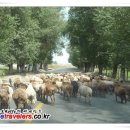 남산목장 이미지