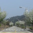 십이선녀탕주유소 이미지