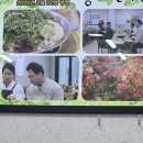 승소닭갈비 | [강원도 태백맛집][태백 물닭갈비] 꼭 먹어야하는 태백먹거리 승소 닭갈비 내돈내산 솔직후기