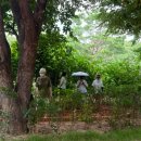 신트리공원 이미지