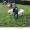 속담농장 이미지