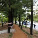 그린메디칼 이미지