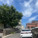 보배렌트카 이미지