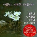 "제주도 봄철 여행"＜⑥ '가파도 청보리밭'을 찾아서(2019.05,02(목))＞ 이미지