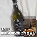 지에스(GS)25 울산연암점 | GS25 가성비 좋은 편의점 와인 추천 <배비치 블랙 말보로 소비뇽블랑> 내돈내산 후기
