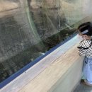 한울타리펜션민박 이미지