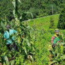 배골경로당 이미지