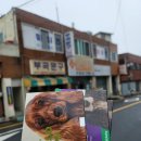 대한가축약품 이미지