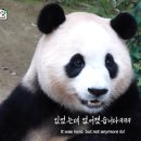 경아아구찜 이미지