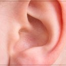 보청기프로 대구서부센타 이미지