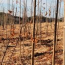 내동농장 이미지