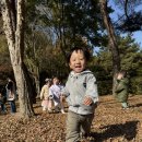 국궁장으로 산책🍂🍁 💕 이미지