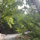 입석사 - 1337 | 치악산 황골탐방지원센터~입석사~비로봉 초보 등산 코스