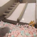 쁘띠몽드 이미지