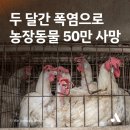 서명농장 이미지