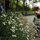 은하목장 이미지