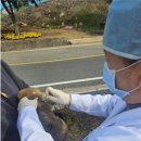 진도메디칼 이미지