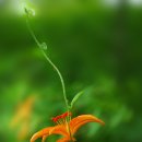 별노래방 이미지