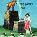 2024.11.17. 죽기 싫으면 작은 계명도 무시하지 말라! 이미지