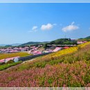 증도면병풍도보건진료소 | 신안 1004섬여행 병풍도 식사 가능한 병풍맛집