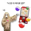 이성ENG