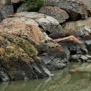 망산도 유주암 이미지